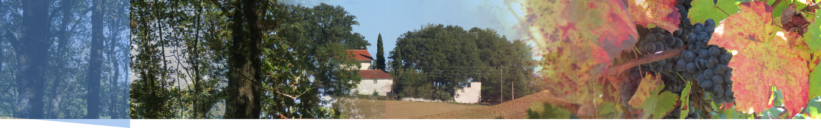 Histoire de la commune de Busque dans le Tarn